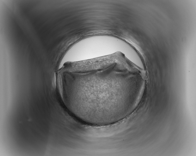 X0000096440013200802141501