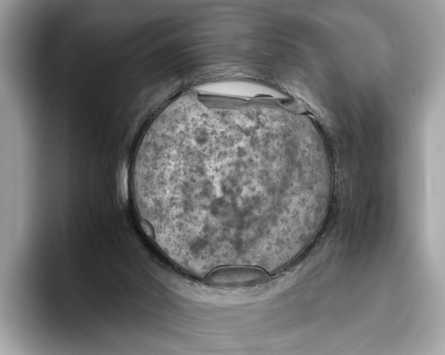 X0000096440014200802141501