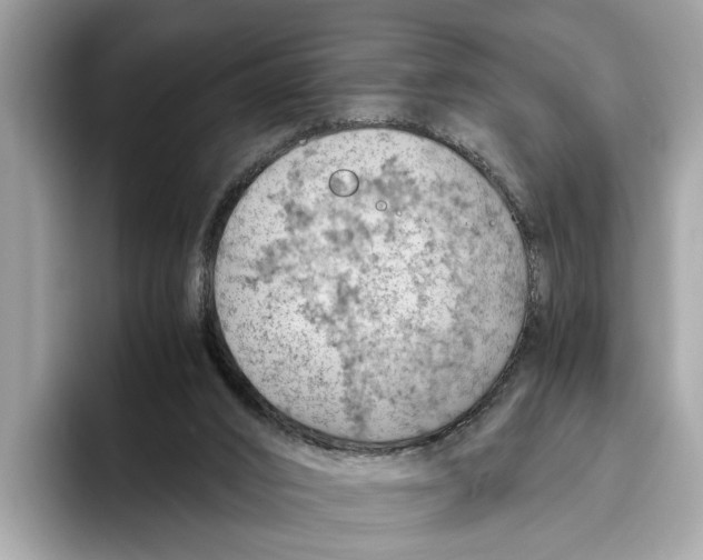 X0000096440016200802141501