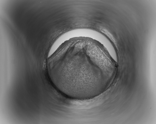 X0000096440017200802141501