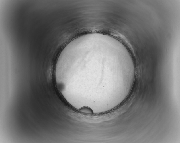 X0000096440018200802141501