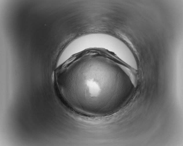 X0000096440019200802141501