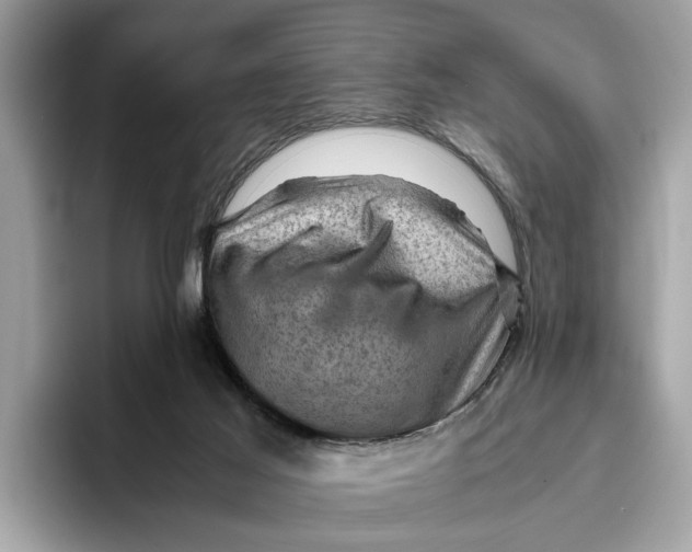 X0000096440021200802141501