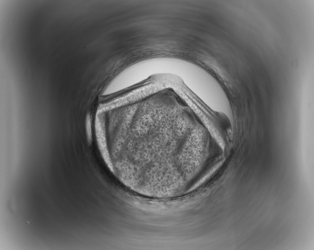 X0000096440022200802141501