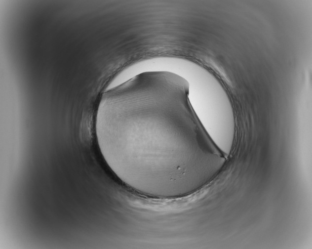 X0000096440023200802141501