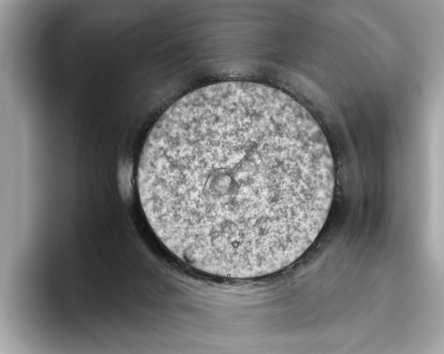 X0000096440024200802141501