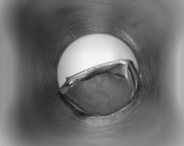 X0000096440025200802141501