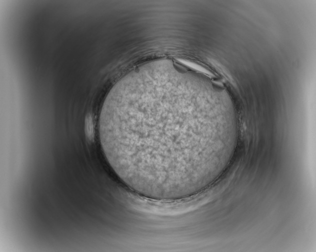 X0000096440026200802141501