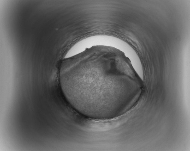 X0000096440029200802141501