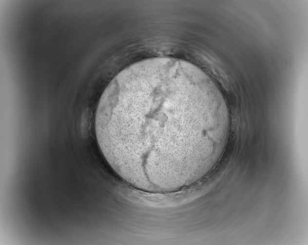 X0000096440030200802141501