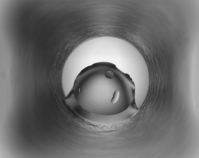 X0000096440031200802141501