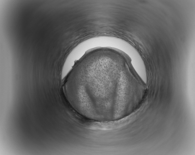 X0000096440033200802141501