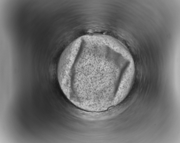 X0000096440034200802141501