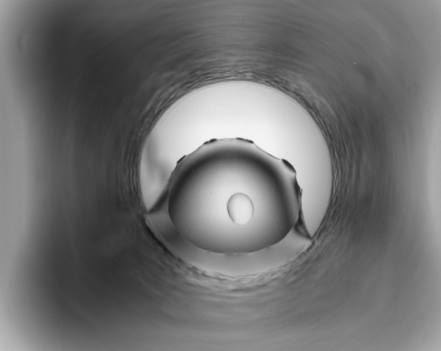 X0000096440035200802141501