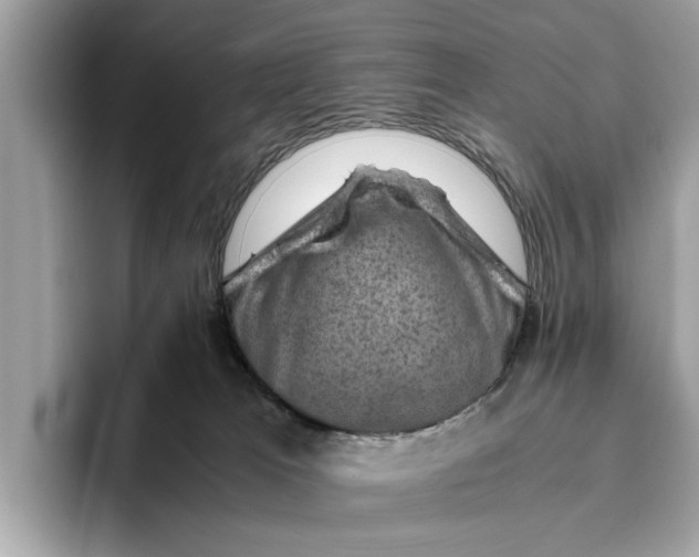 X0000096440037200802141501