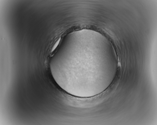 X0000096440039200802141501