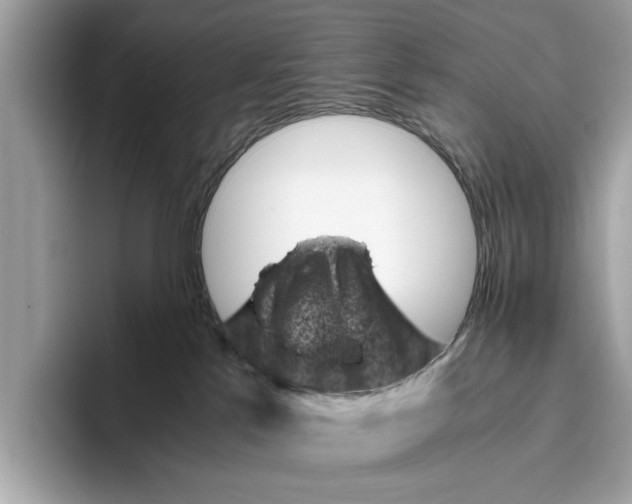 X0000096440041200802141501