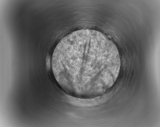 X0000096440042200802141501