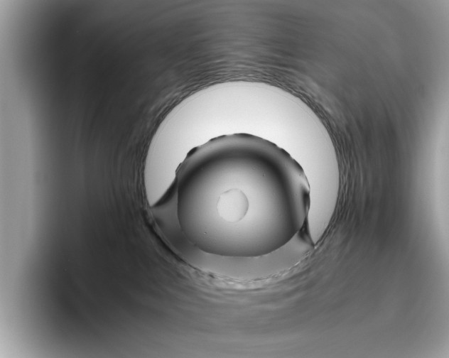 X0000096440043200802141501