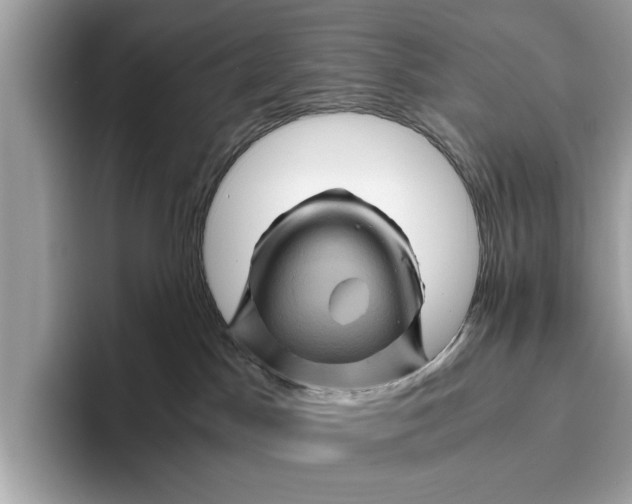 X0000096440045200802141501