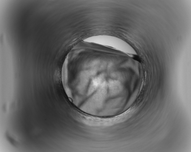 X0000096440048200802141501