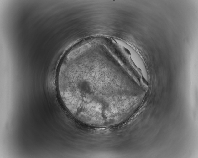 X0000096440050200802141500