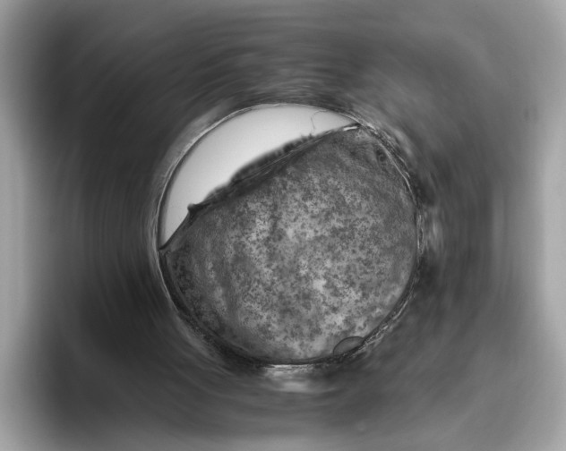 X0000096440051200802141500