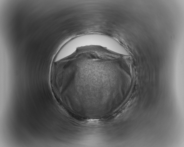 X0000096440052200802141500