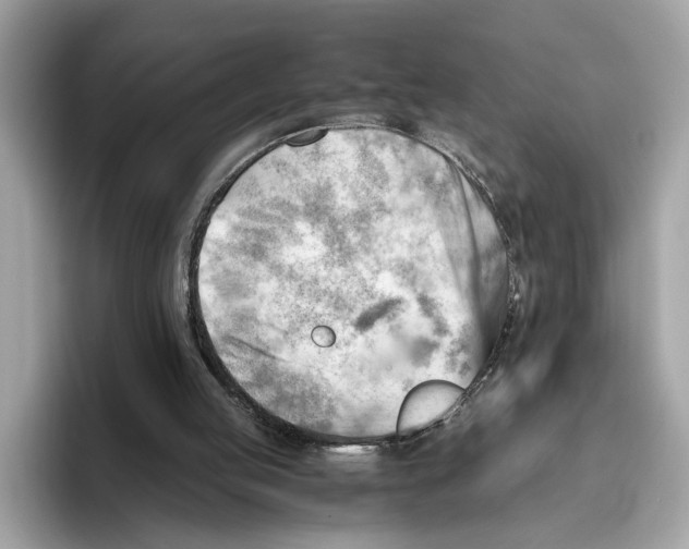 X0000096440053200802141500