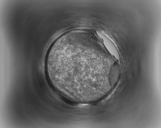 X0000096440055200802141500