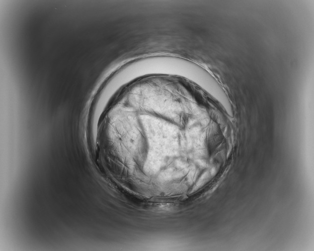 X0000096440056200802141500