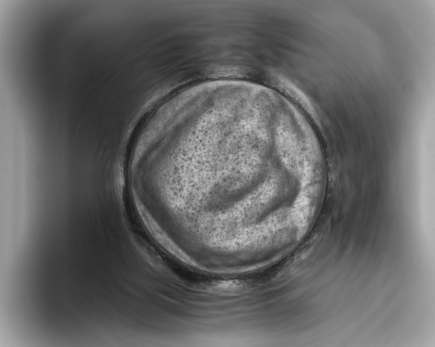 X0000096440059200802141500