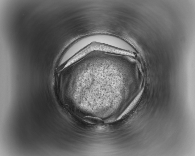 X0000096440060200802141500