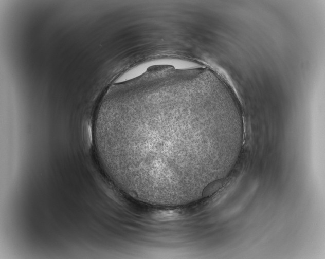 X0000096440061200802141500