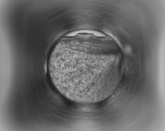 X0000096440062200802141500