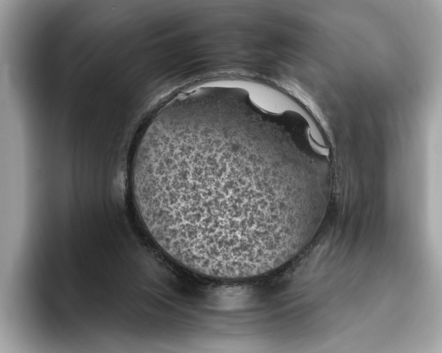 X0000096440063200802141500