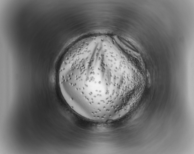 X0000096440064200802141500