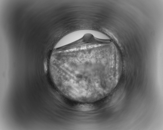 X0000096440069200802141500