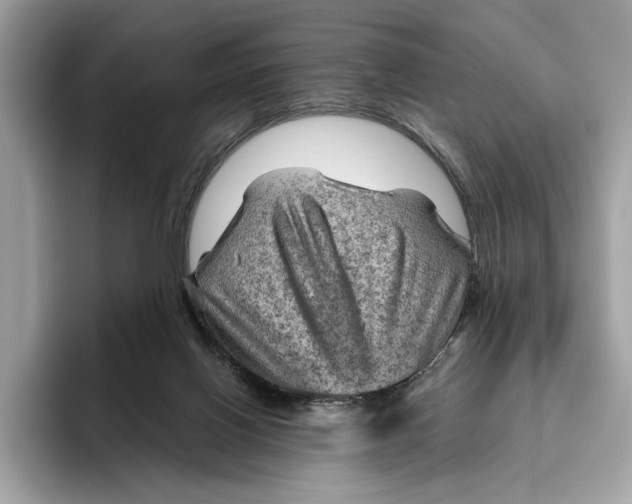 X0000096440070200802141500