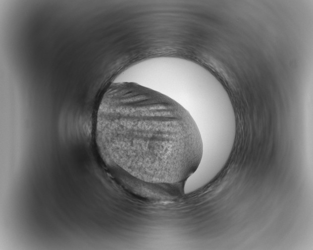 X0000096440072200802141500