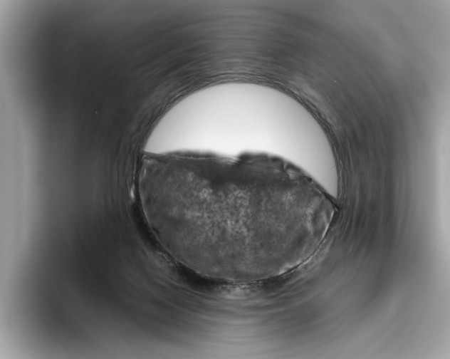 X0000096440074200802141500