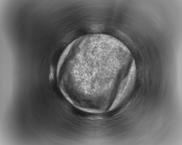 X0000096440075200802141500