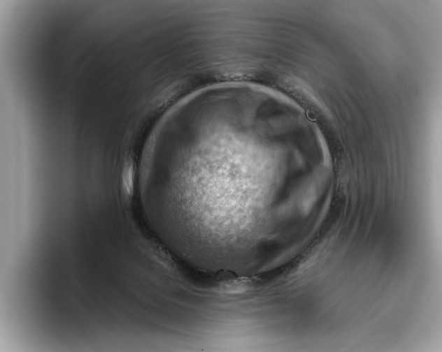 X0000096440076200802141500