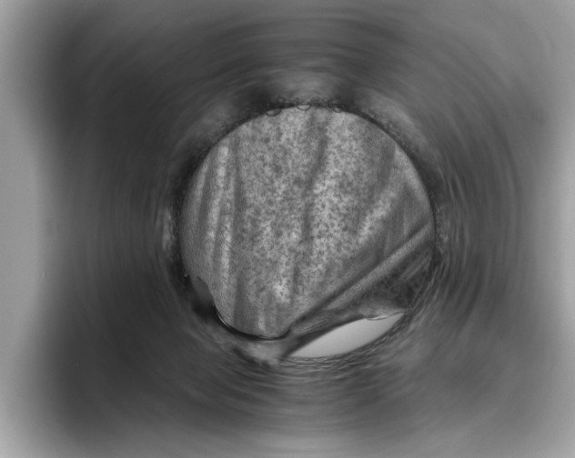 X0000096440077200802141500