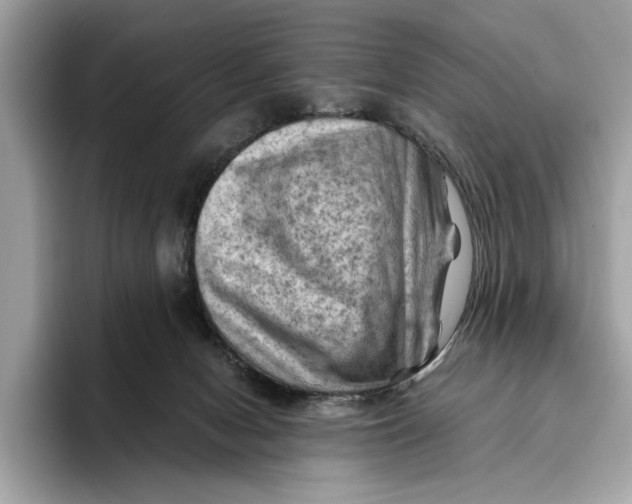 X0000096440078200802141500