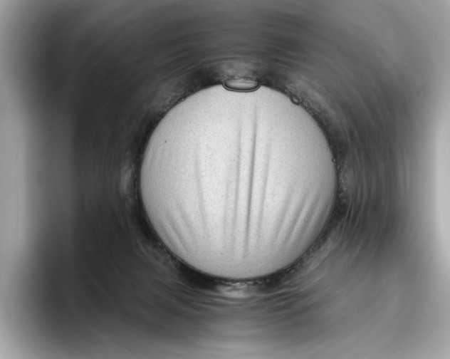 X0000096440079200802141500