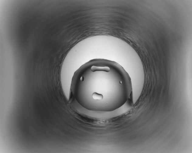 X0000096440084200802141501