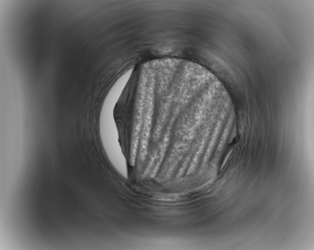 X0000096440085200802141501