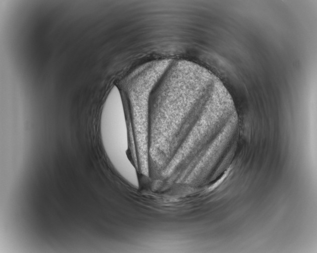 X0000096440086200802141501