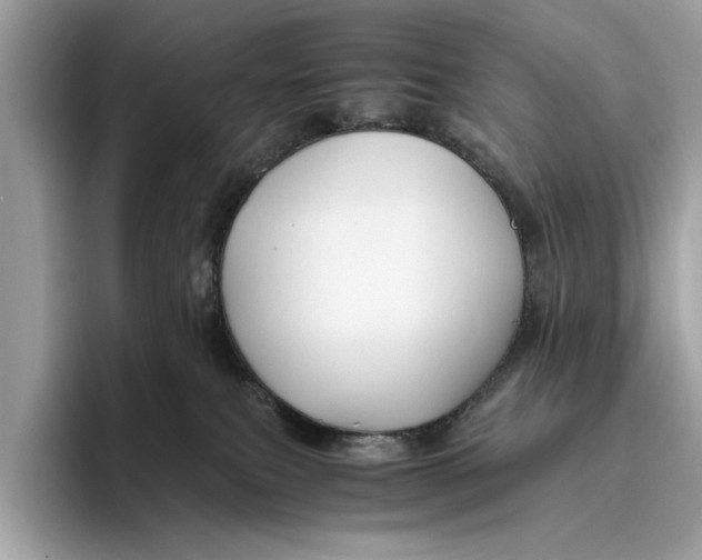 X0000096440087200802141501